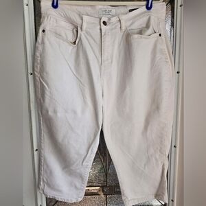 Women's Judy Blue Capri, size 16W